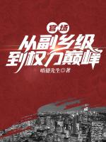 官场：从副乡级到权力巅峰
