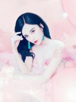 琥珀里的十年