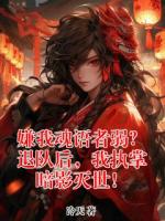 嫌我魂语者弱？退队后，我执掌暗影灭世！
