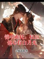 锦书难托：权臣他心有白月光