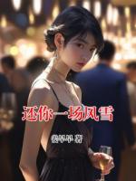 还你一场风雪