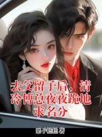 去父留子后，清冷傅总夜夜跪地求名分