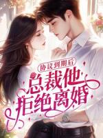 协议到期后，总裁他拒绝离婚