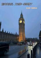 前夫失忆后，又对我一见钟情了