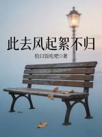 此去风起絮不归