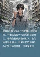 重生之我在都市当惩罚神