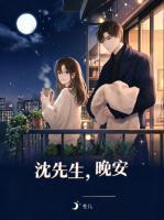 沈先生，晚安