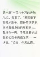 老婆给表弟买车一百八十万