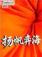 扬帆弈海