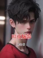 暗夜魅影