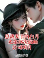 总裁妻子的白月光第18次搞砸公司项目