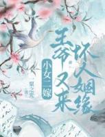 小女二嫁，王爷又来坏人姻缘