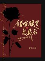 错嫁腹黑总裁后,我成了他的爱宠