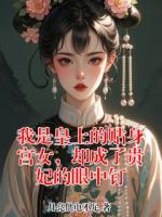 我是皇上的贴身宫女,却成了贵妃的眼中钉