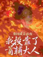 重回成亲前夜，我投靠了首辅大人