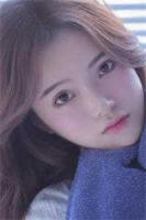 玫瑰依旧年年盛开