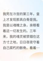 我死在冷宫的第三年，皇上才发现那具白骨是我。